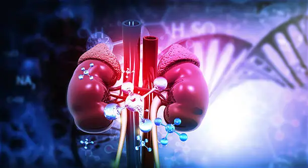 Laboratory sample related to kidney marker testing