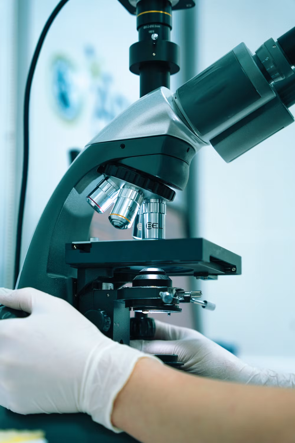 Laboratory technician working with labeled sample tubes