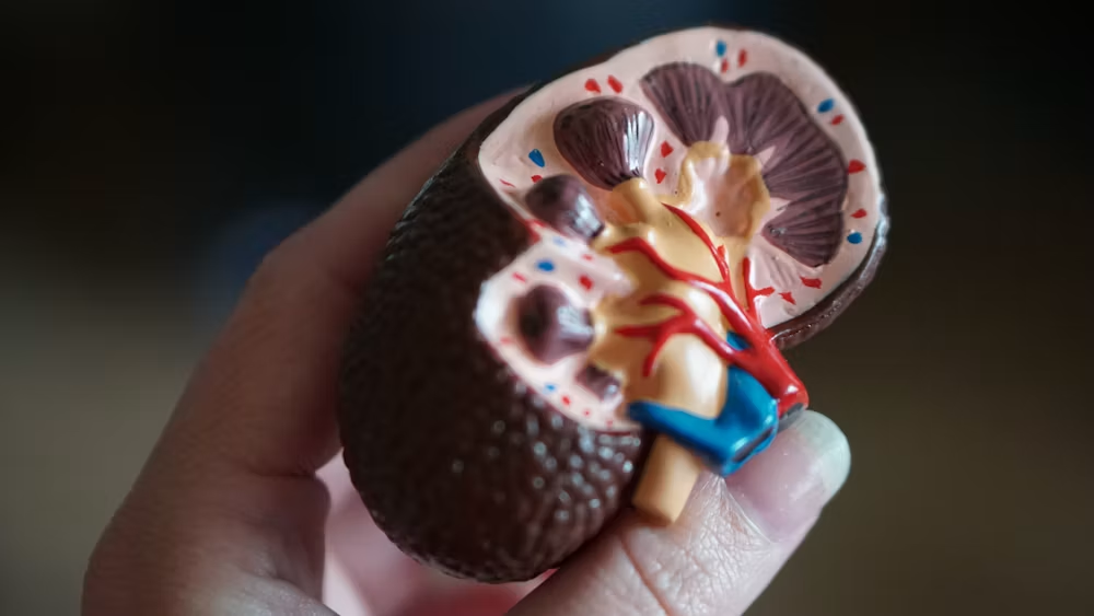 Clinical documentation for liver panel reporting